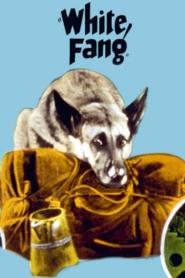 White Fang