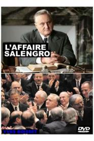 Affaire Salengro, L'