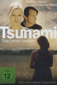 Tsunami - Das Leben danach