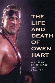 Das Leben und der Tod des Owen Hart