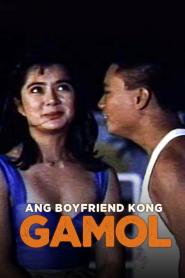 Boyfriend kong gamol, Ang