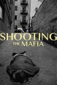 Shooting the Mafia