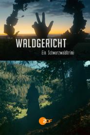 Waldgericht. Ein Schwarzwaldkrimi