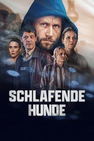 Schlafende Hunde