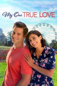 Auf der Suche nach Mr. Wrong - My One True Love