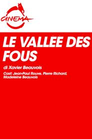 La Vallée des fous