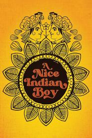 A Nice Indian Boy