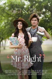 Liebe zwischen den Zeilen - Mr. Right (2023)