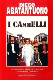 I Cammelli