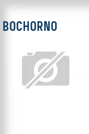 Bochorno