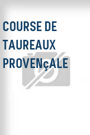 Course de taureaux provençale