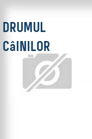 Drumul câinilor