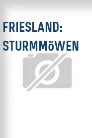 Friesland: Sturmmöwen