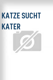 Katze sucht Kater