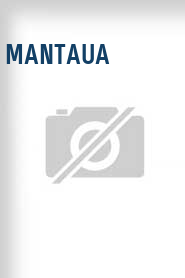 Mantaua