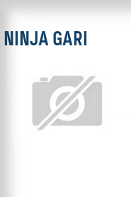 Ninja gari