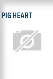 Pig Heart