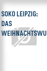 SOKO Leipzig: Das Weihnachtswunder