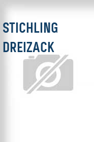 Stichling Dreizack