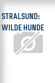 Stralsund: Wilde Hunde