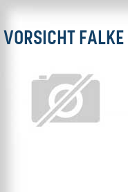 Vorsicht Falke