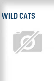 Wild Cats