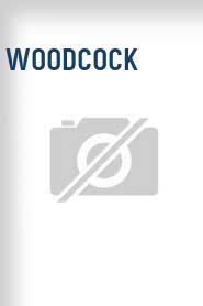 Woodcock