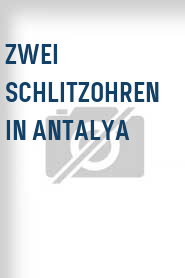 Zwei Schlitzohren in Antalya